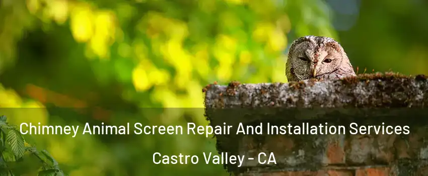  Chimney Animal Screen Repair And Installation Services Castro Valley - CA