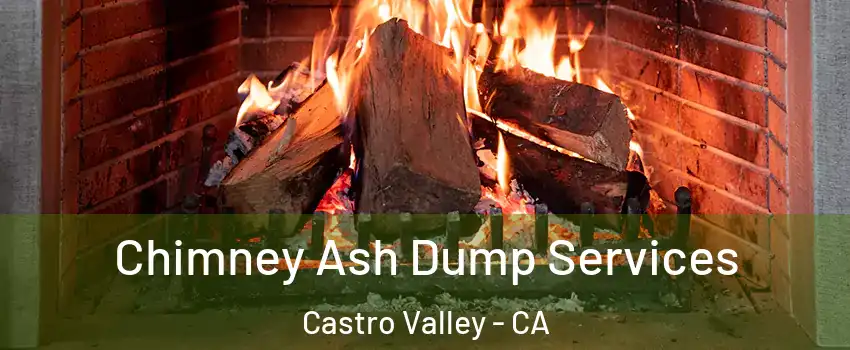  Chimney Ash Dump Services Castro Valley - CA