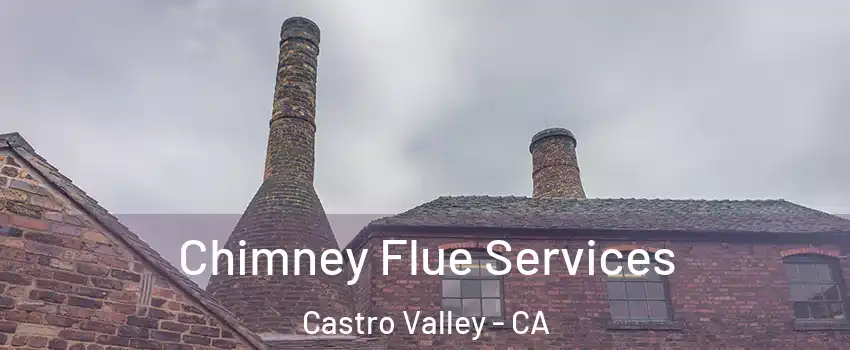  Chimney Flue Services Castro Valley - CA
