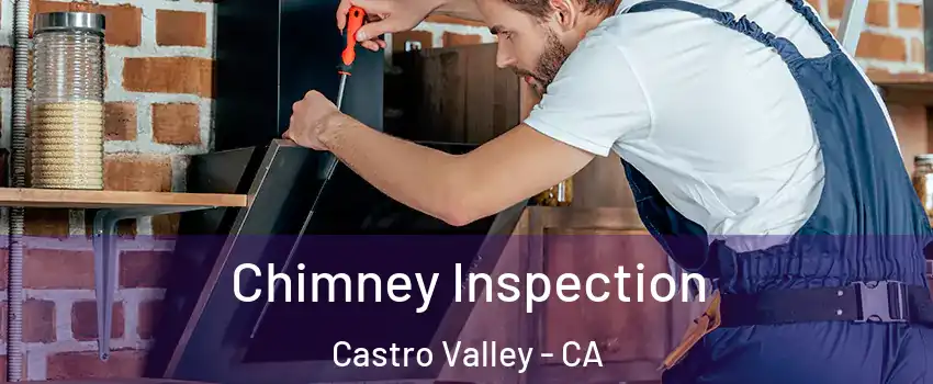  Chimney Inspection Castro Valley - CA