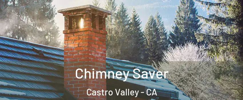  Chimney Saver Castro Valley - CA