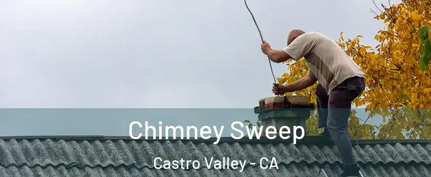  Chimney Sweep Castro Valley - CA