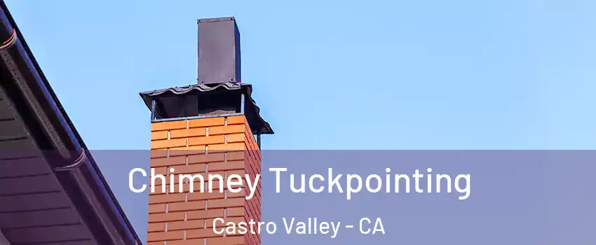  Chimney Tuckpointing Castro Valley - CA