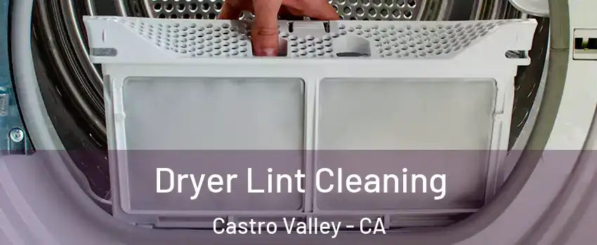  Dryer Lint Cleaning Castro Valley - CA