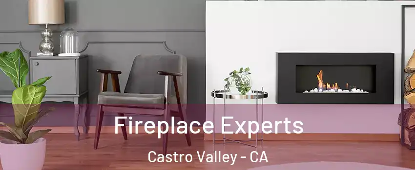  Fireplace Experts Castro Valley - CA