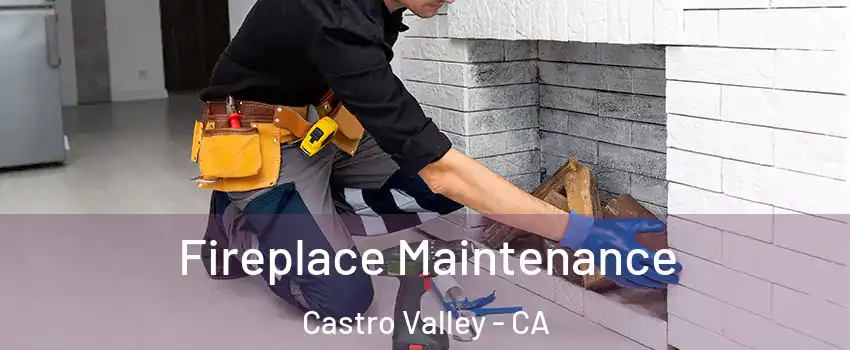  Fireplace Maintenance Castro Valley - CA