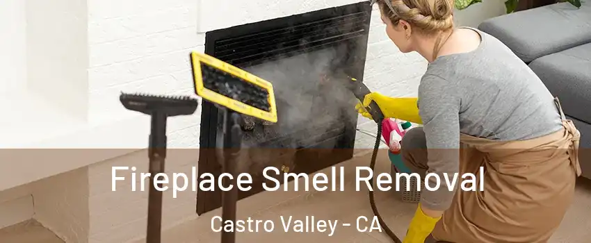  Fireplace Smell Removal Castro Valley - CA
