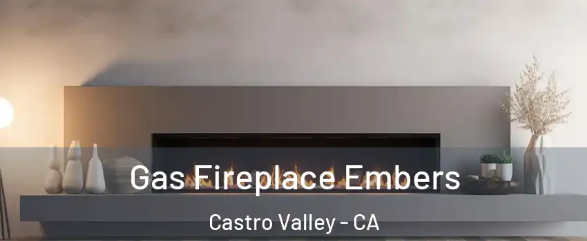  Gas Fireplace Embers Castro Valley - CA