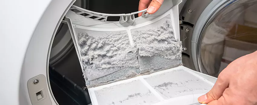 Best Dryer Lint Removal Company in Castro Valley, California