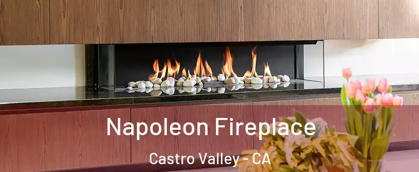  Napoleon Fireplace Castro Valley - CA