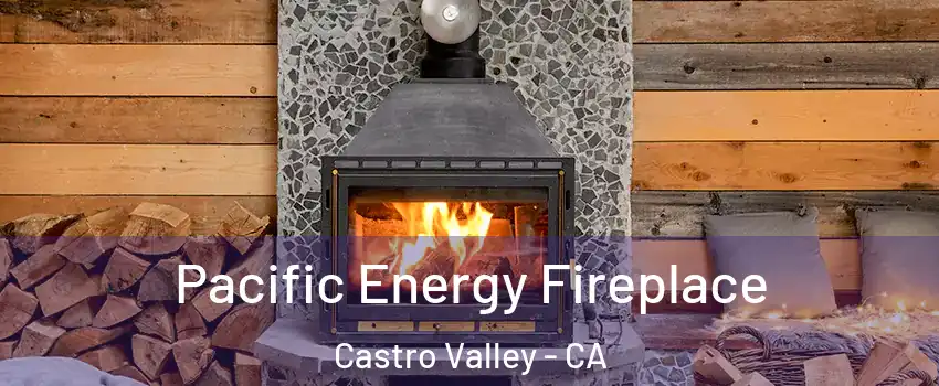  Pacific Energy Fireplace Castro Valley - CA